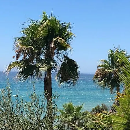 Casa Alegria